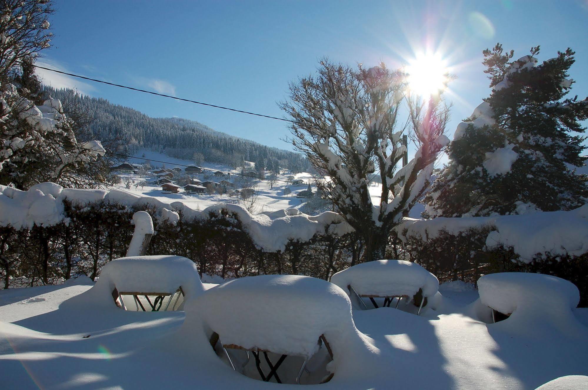 Hotel Le Caprice Des Neiges Combloux Kültér fotó